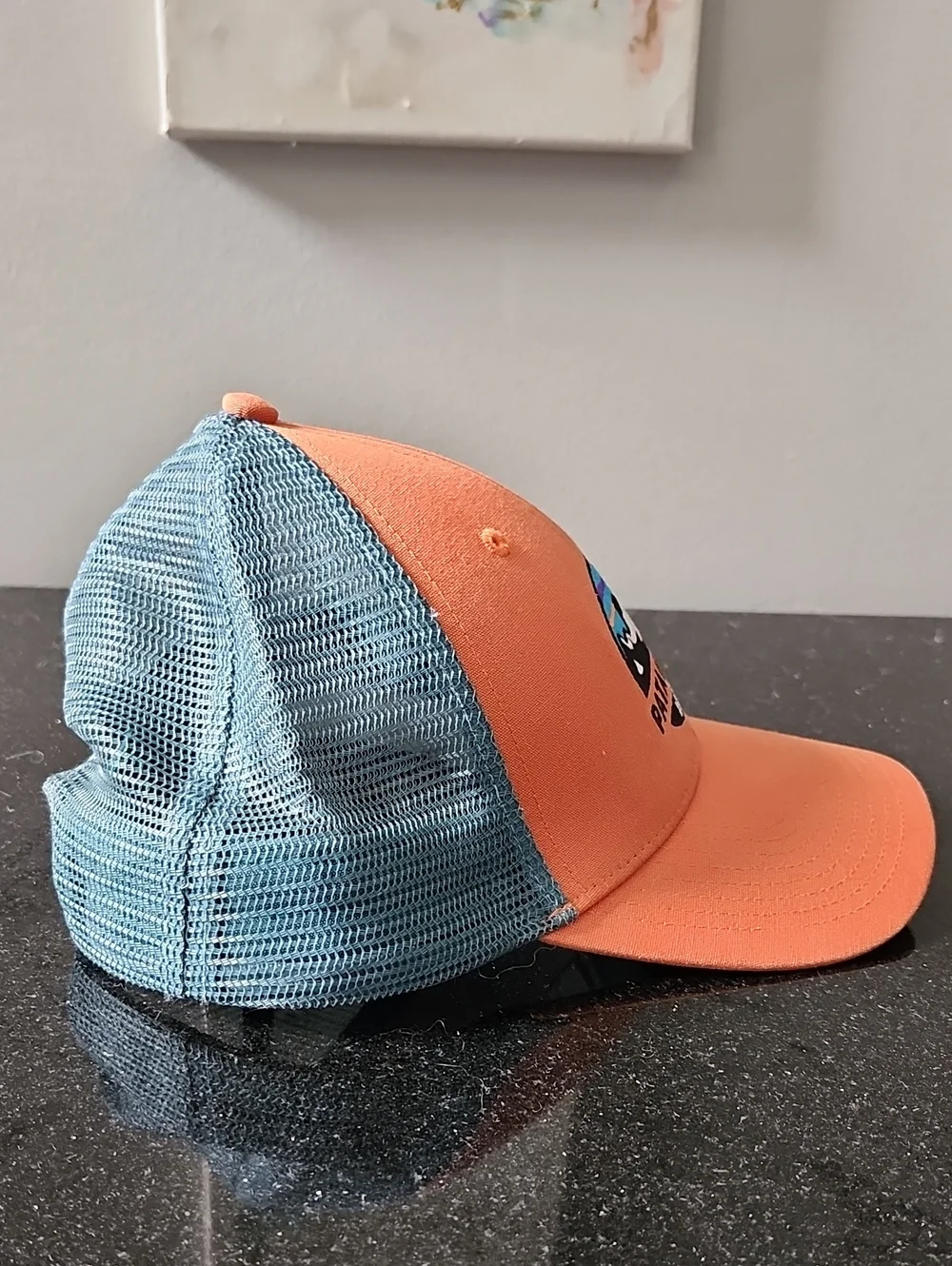 Patagonia Sunset Mountain Patch Mesh Trucker Hat